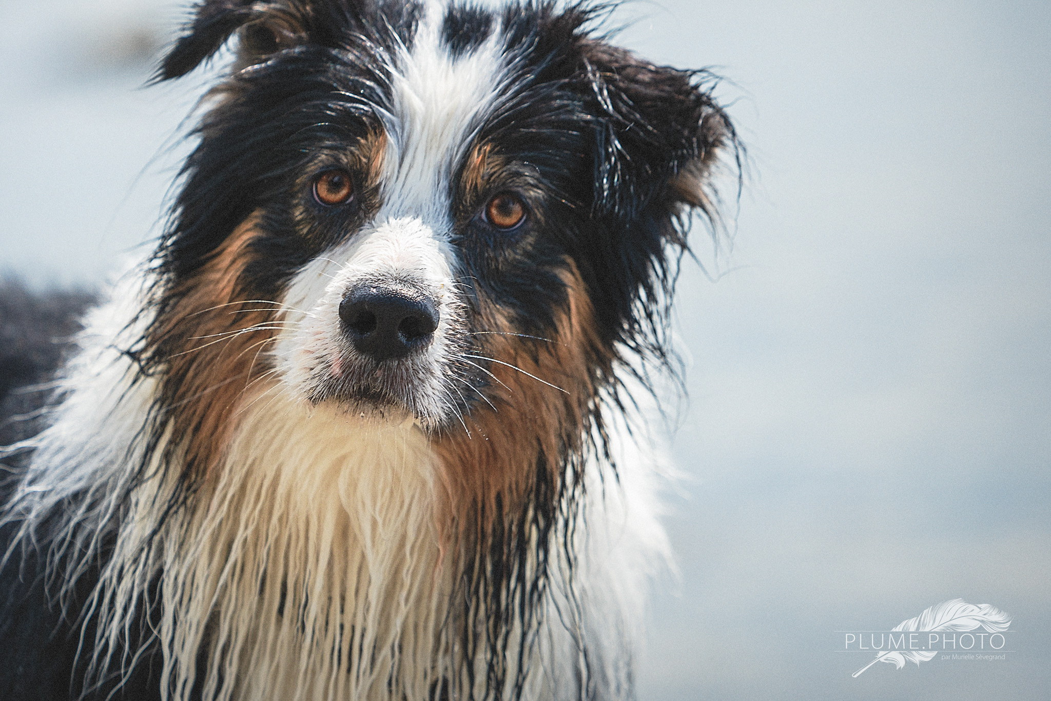 Portrait de Milky-Way